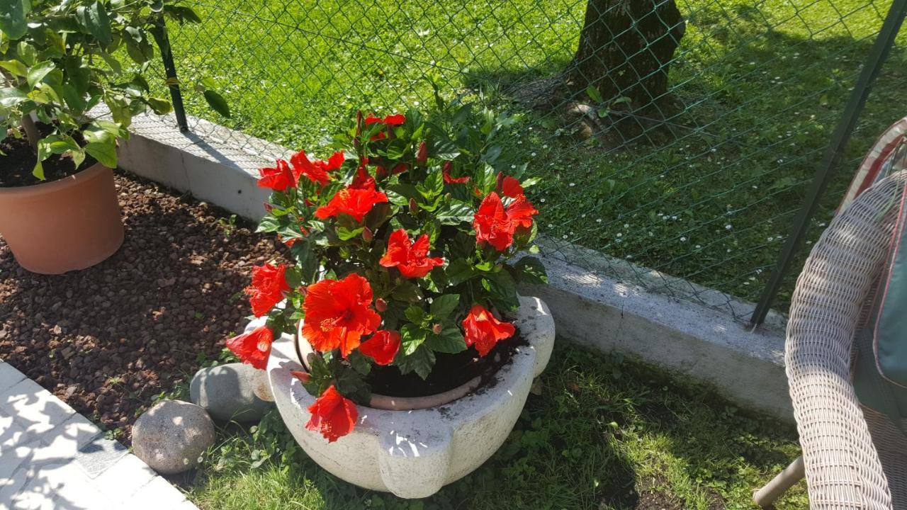 B&B Casa Gaia - Sirmione Buitenkant foto